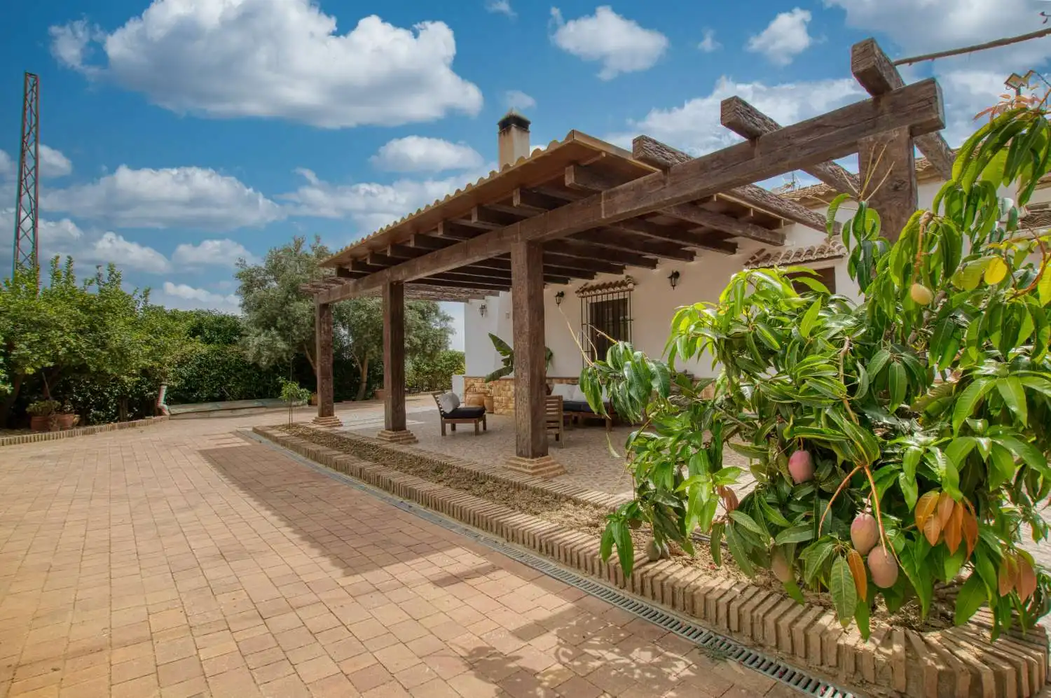 Jardín de Finca rústica en venta en Periana con Piscina