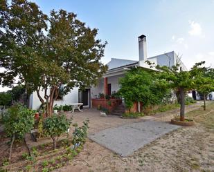 Garden of Country house for sale in Matapozuelos