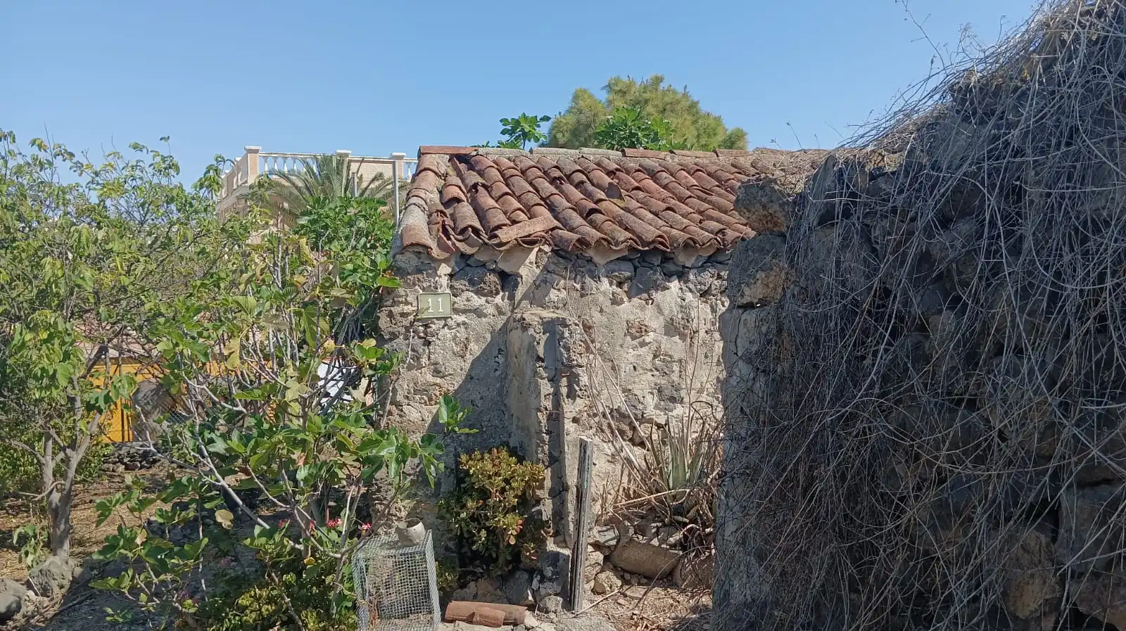 Rural land for sale in San Felipe - San Marcos - Las Cañas, imagen 22