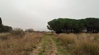 Land for sale in L'Armentera