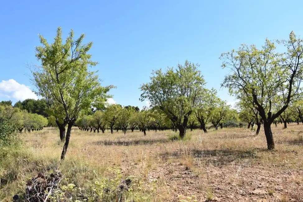 Industrial land for sale in Fuentespalda