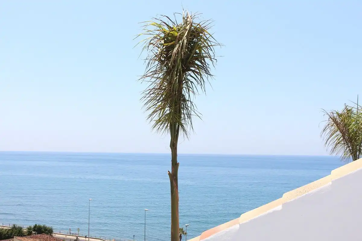 Casa o chalet de alquiler en Vélez-Málaga con Aire acondicionado, Calefacción y Jardín privado