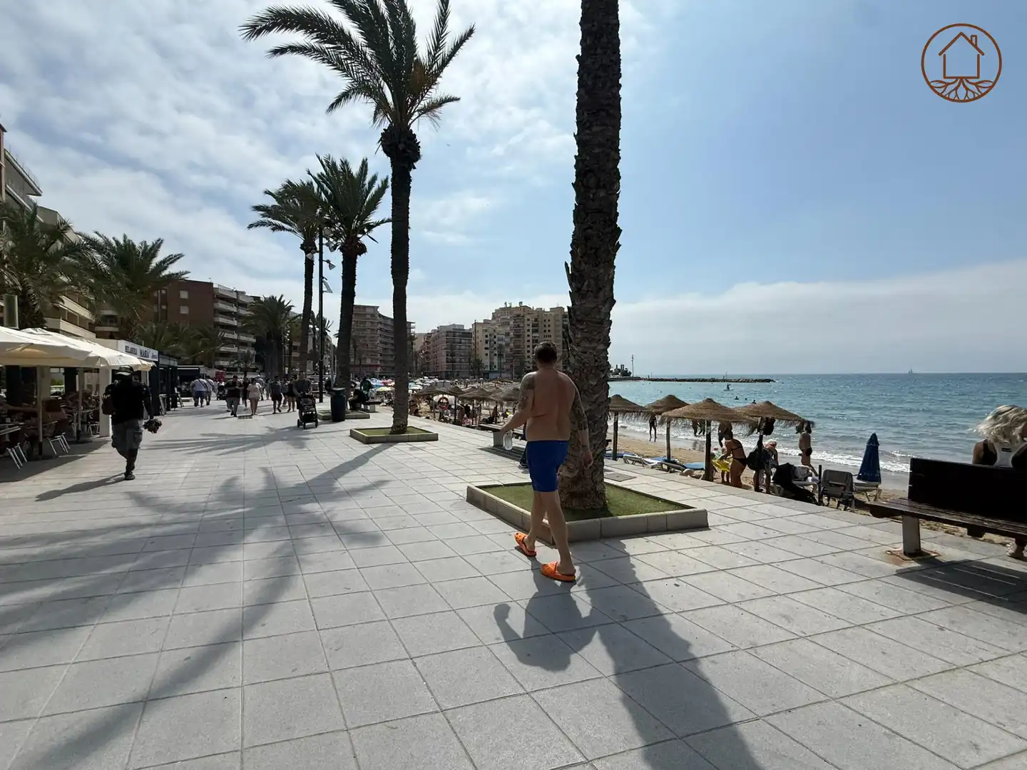 Vista exterior de Àtic en venda en Torrevieja amb Aire condicionat, Calefacció i Terrassa