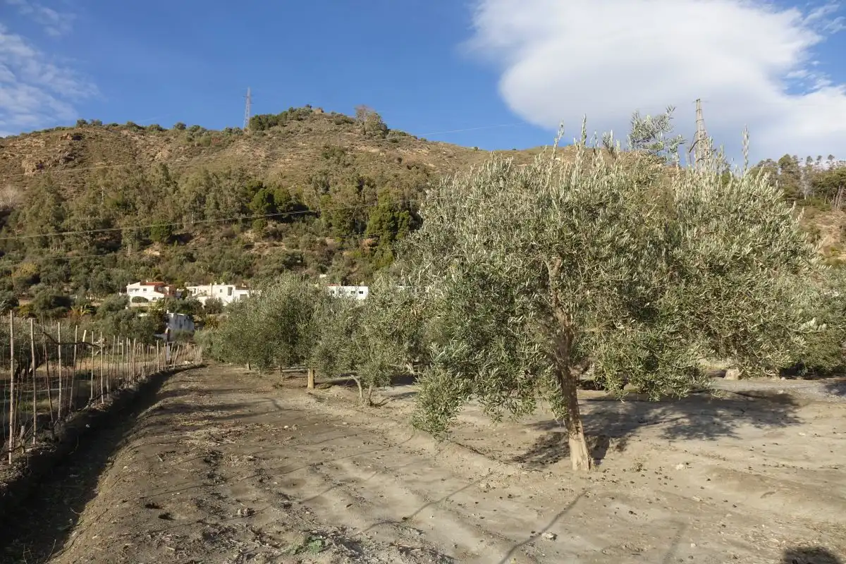 Casa rústica en venda a Órgiva, imagen 6