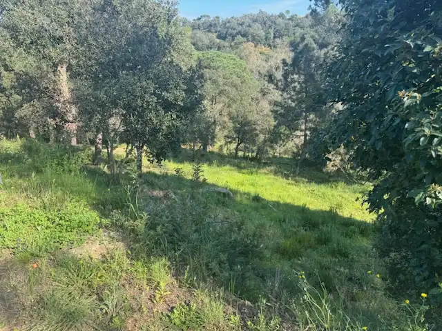 Residential land for sale in Ferrers, imagen 2