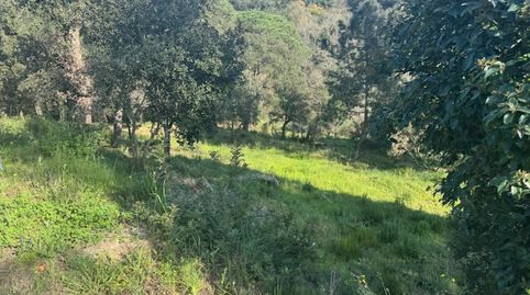 Foto 2 de Residencial en venda a Ferrers, Niàgara Parc - Ágora Parc, Tordera