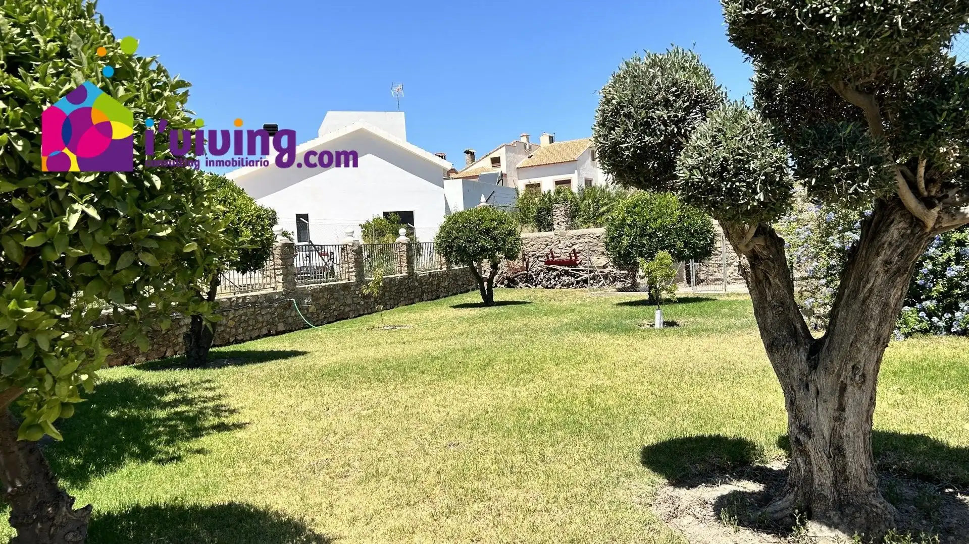 Garden of Houses for rent in Cantoria