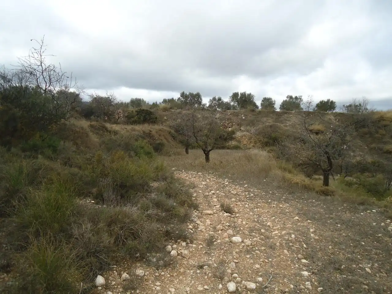 Terrenys i solars en venda a Castalla, imagen 6