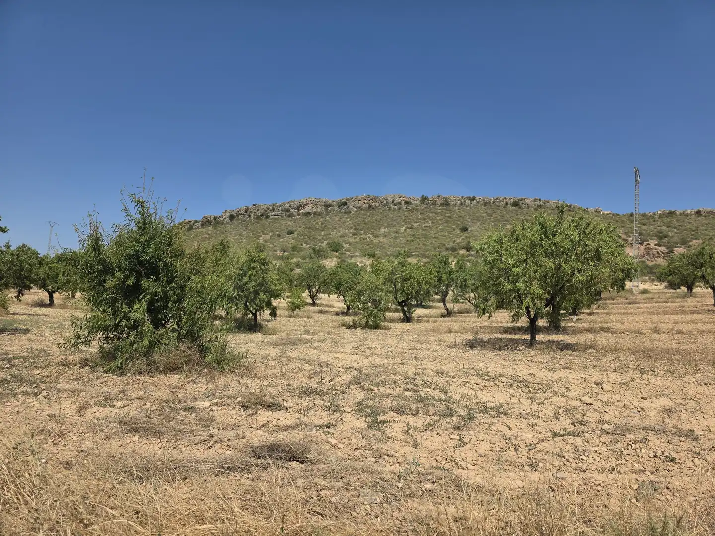 Terrenys i solars en venda a Cehegín, imagen 8