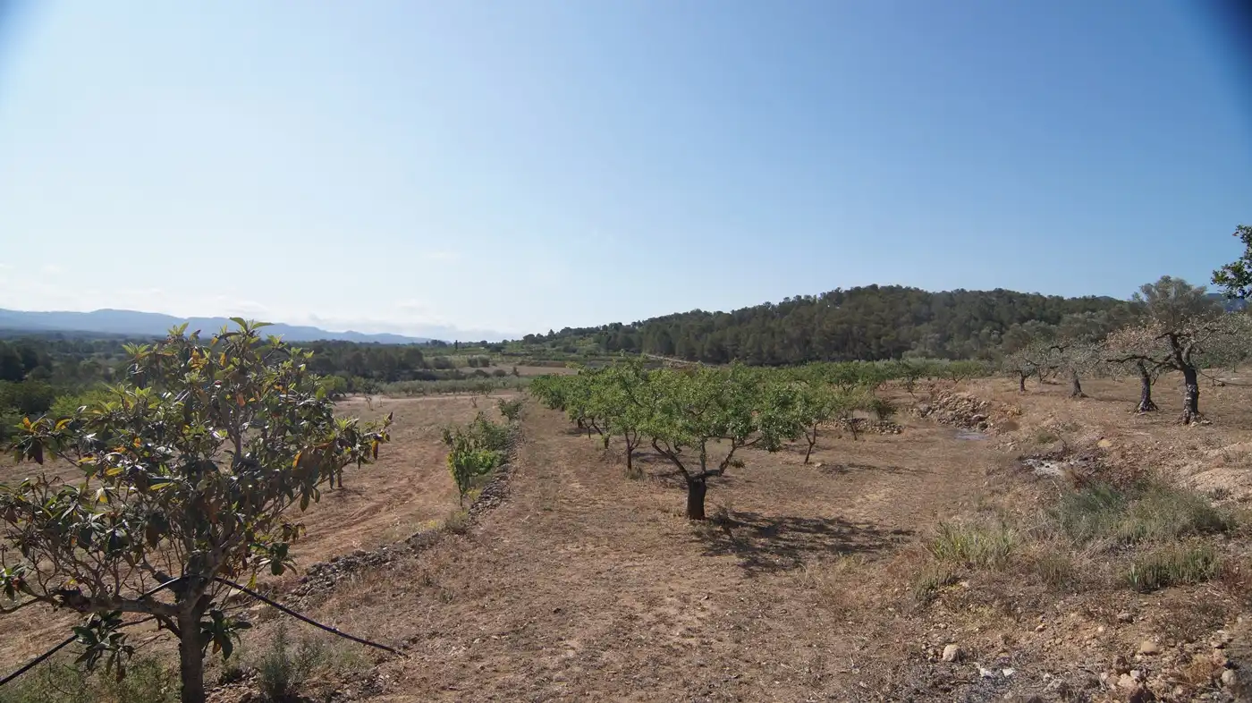 Finca rústica en venda a Miravet