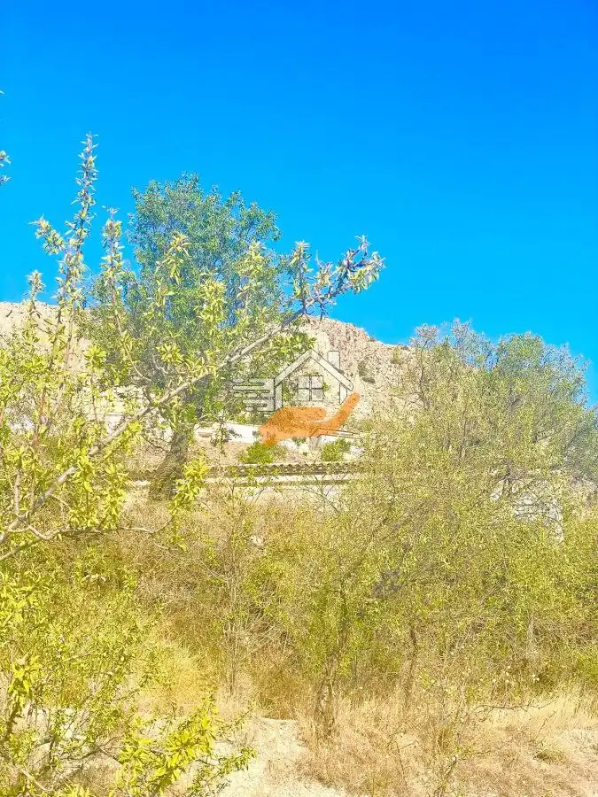 Lands and plots for sale in Vélez-Blanco, imagen 8