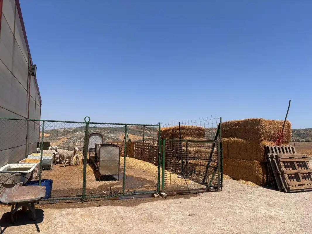 Vista exterior de Finca rústica en venda en El Saucejo amb Aire condicionat, Calefacció i Moblat