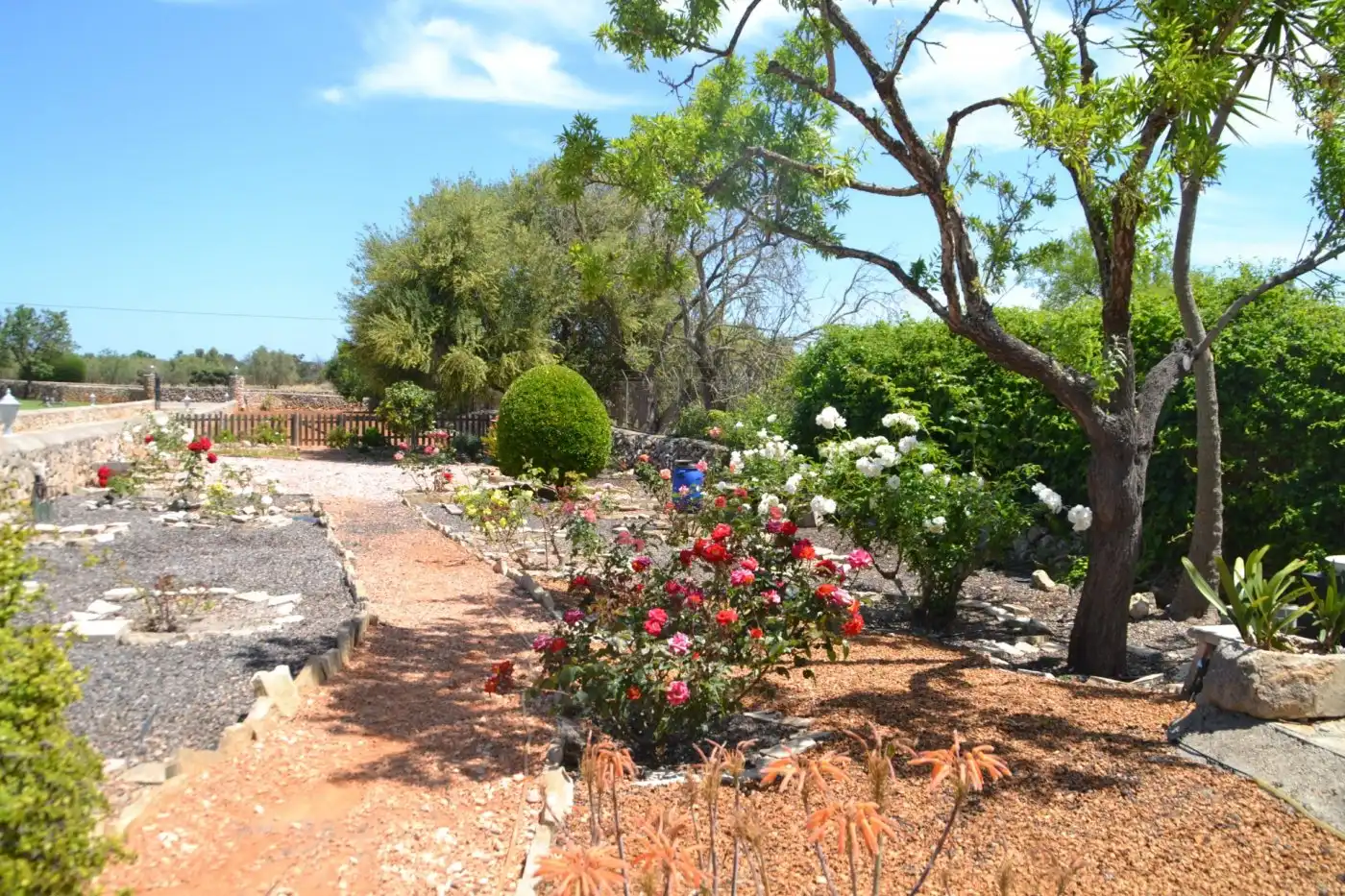 Casa rústica amb piscina en venda a Santa Margalida Poble, imagen 44