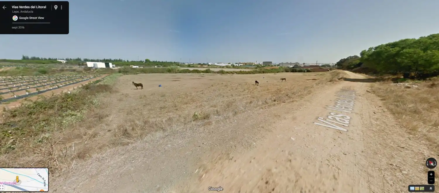 Casa rústica en venda a Lepe, imagen 4