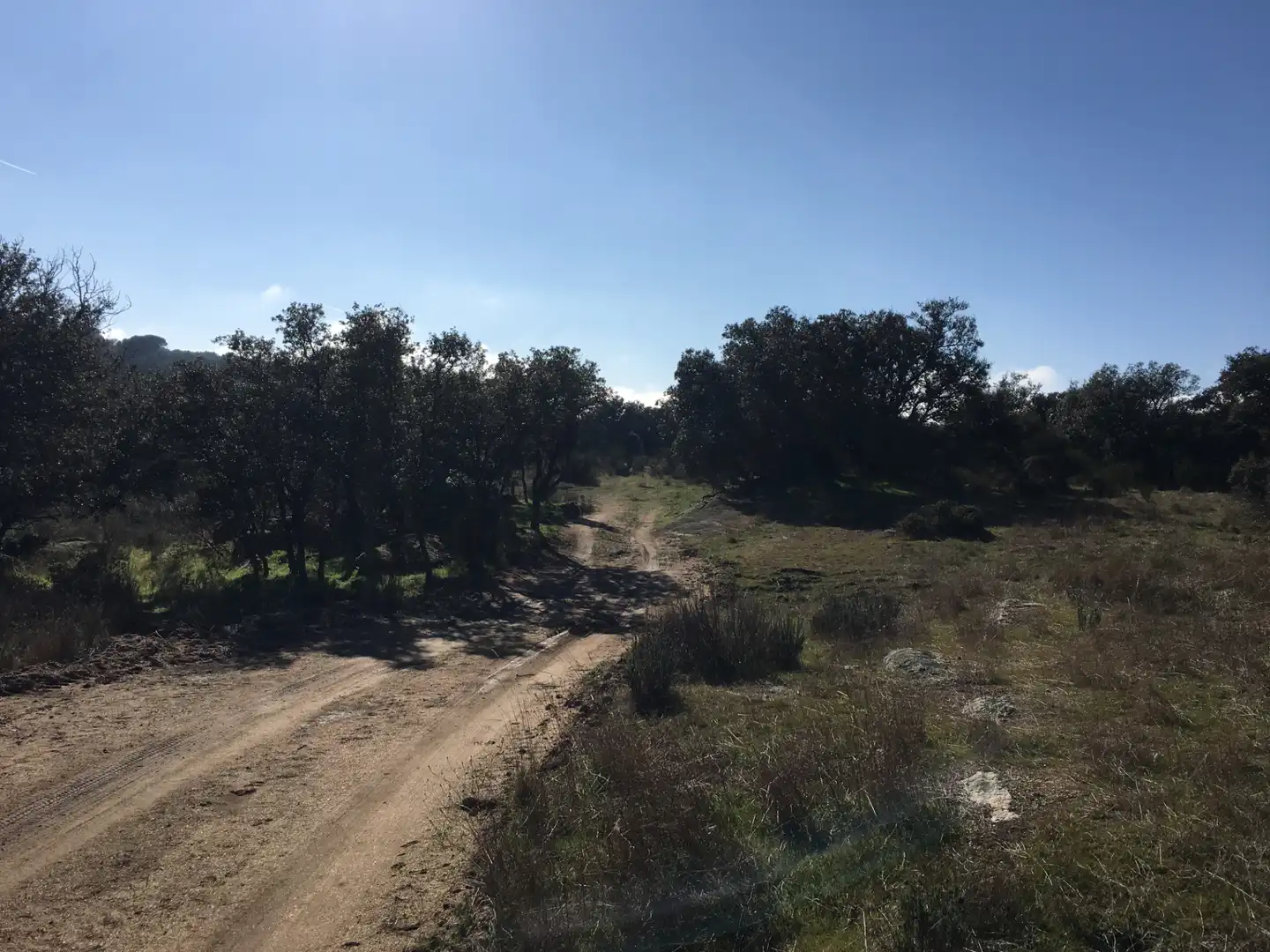 Rural land for sale in Cadalso de los Vidrios, imagen 13