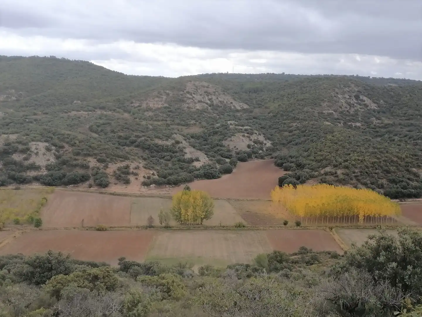 Terrain rustique à vendre à Monte Cutradas, imagen 5