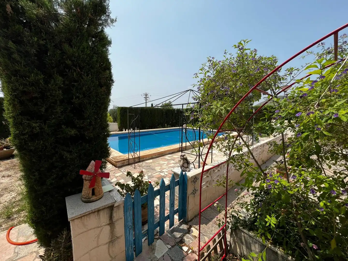 Piscina de Casa o xalet en venda en Novelda amb Jardí privat i Piscina