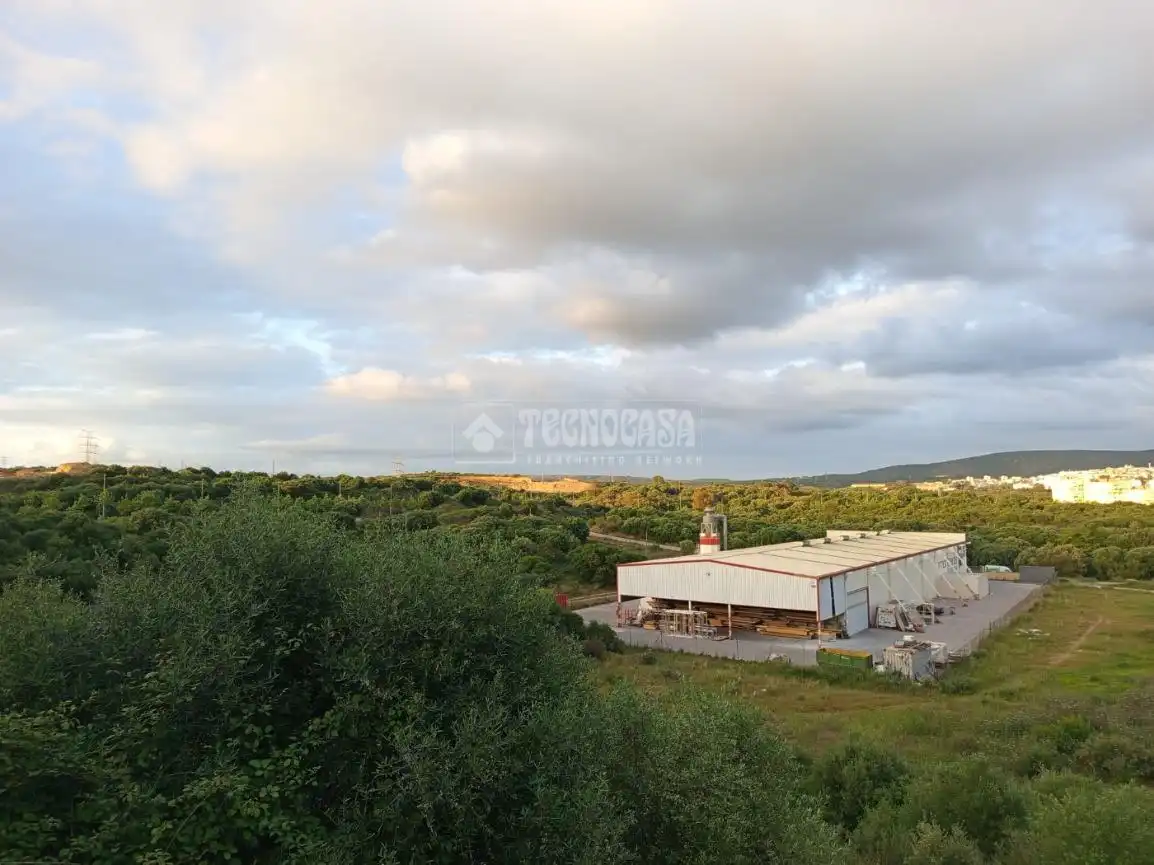 Detached homes for sale in San Roque