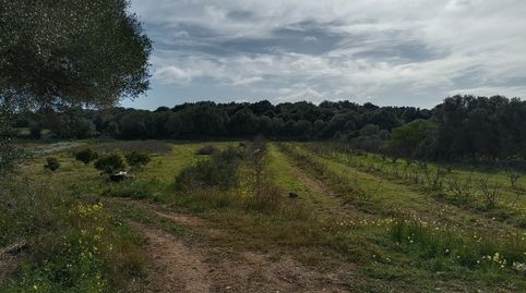 Foto 5 de Casa o xalet en venda a Es Migjorn Gran poble, Es Migjorn Gran