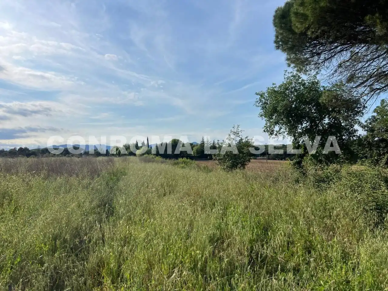 Terrain rustique à vendre à Riudarenes, imagen 12