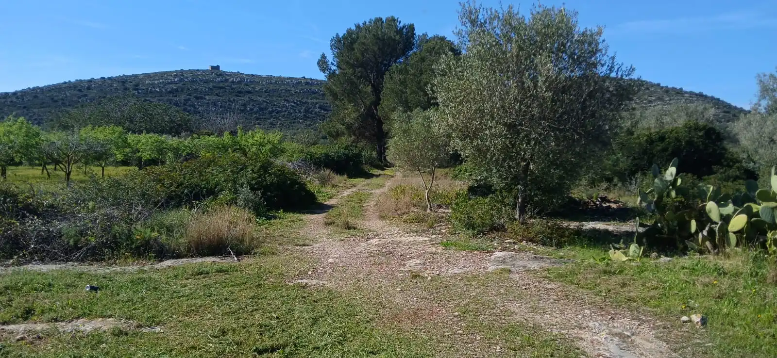 Rural land for sale in Camí de Soterranya, imagen 6