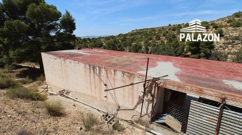Foto 2 de Finca rústica en venta en Crevillent, Alicante