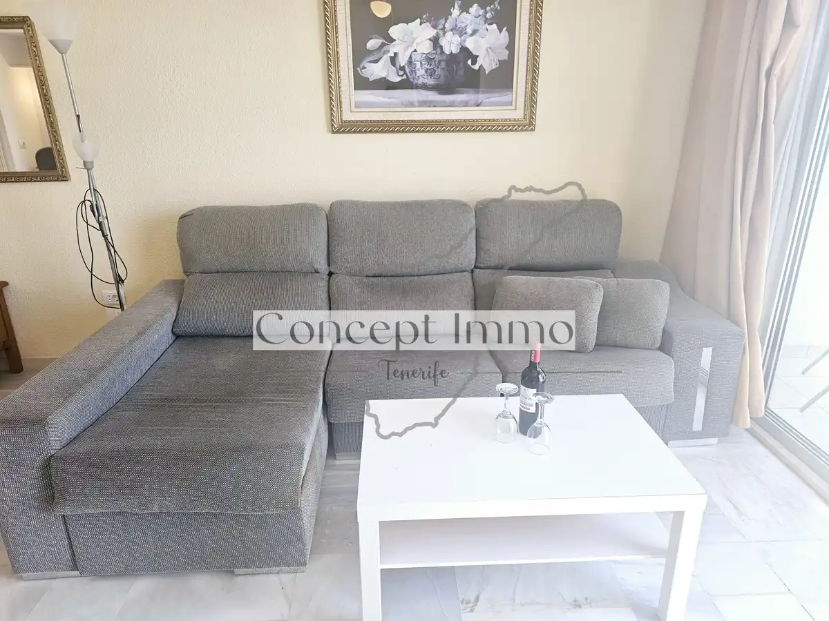 Monolocale con terrazza in vendita a Calle Finlandia, imagen 12