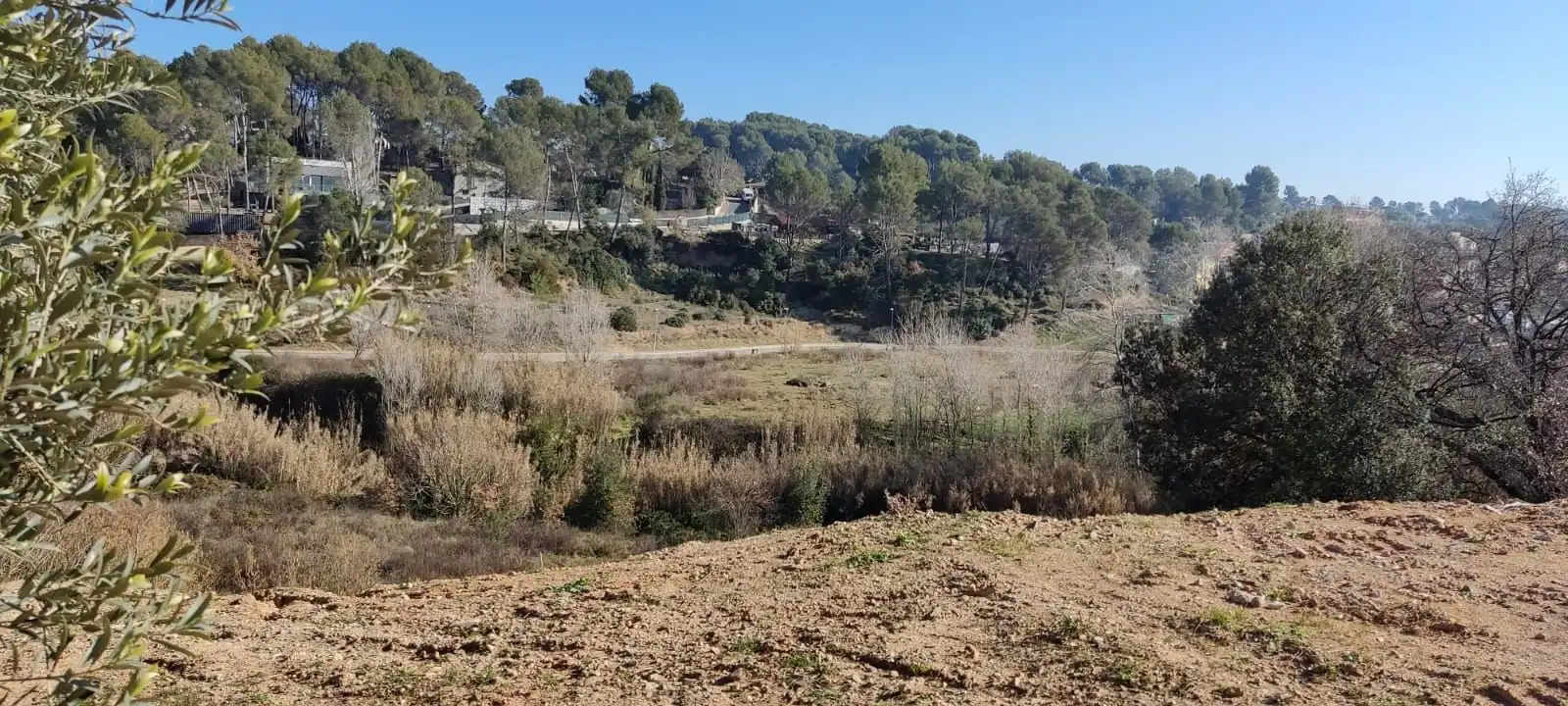 Terrain résidentiel à vendre à Sant Muç, imagen 2
