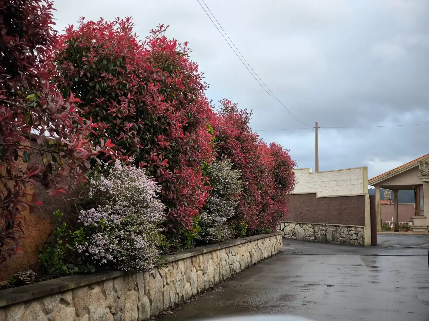 Vista exterior de Casa o xalet en venda en Cambados amb Calefacció, Jardí privat i Parquet