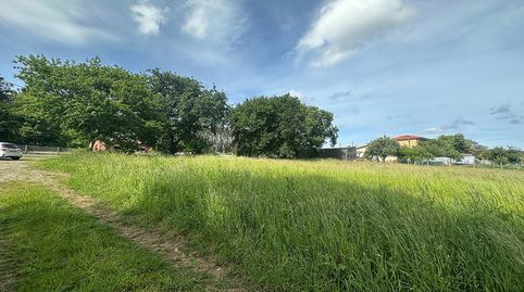 Terreno en venta en Lugar Santandré - O Pino, immagine 5