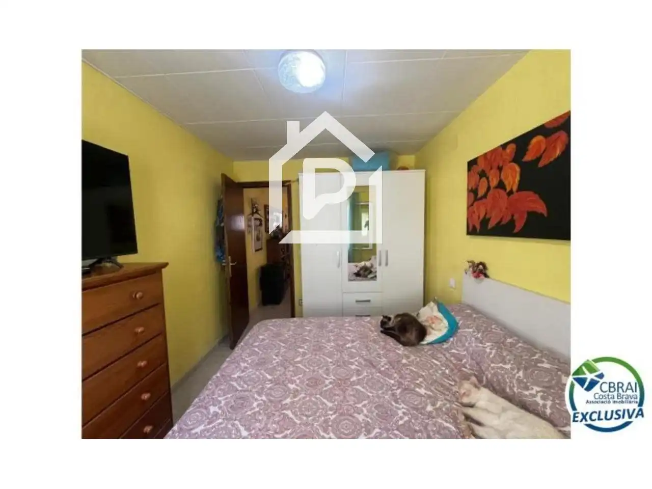 Maison à vendre à Argentera, imagen 3