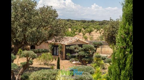 Foto 5 de Finca rústica en venta en Castillo de Freila, Freila, Granada