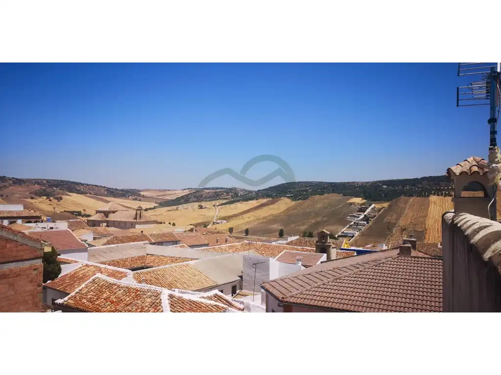 Vista exterior de Finca rústica en venta en Cañete la Real