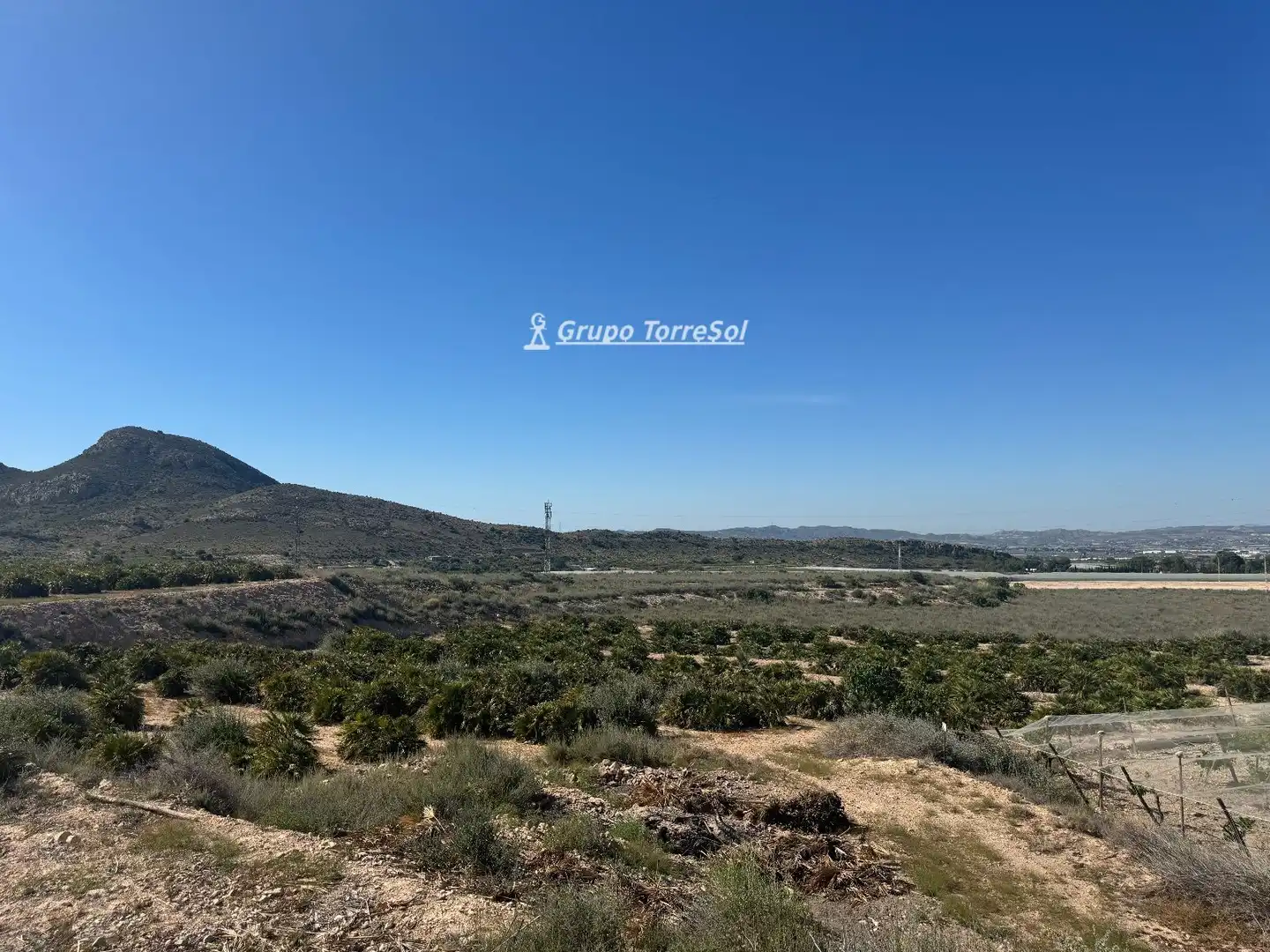 Land for sale in Monforte del Cid