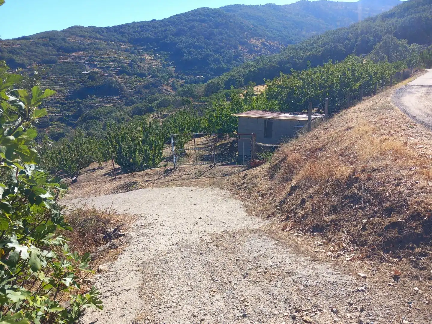 Terreno en venta en Gargantilla