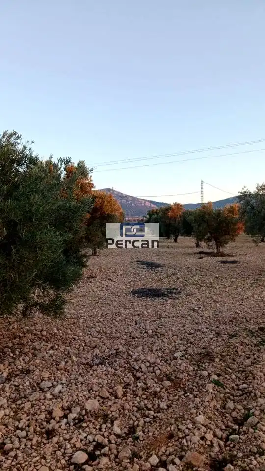 Terrenos y solares en venta en Mariscal, imagen 5
