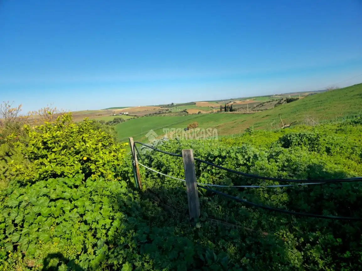 Terreno rustico in vendita a El Coronil, imagen 10