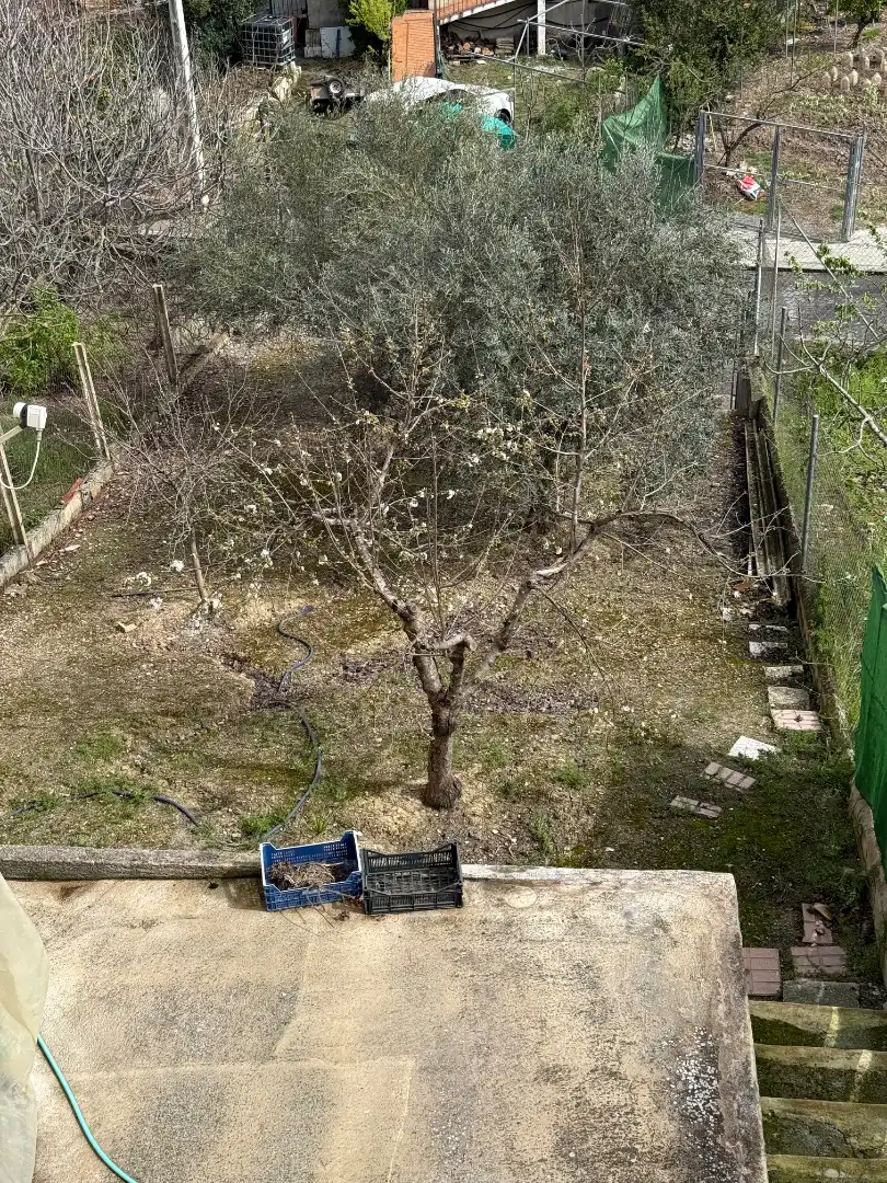 Adossat amb jardí en venda a Calle Alta, imagen 3