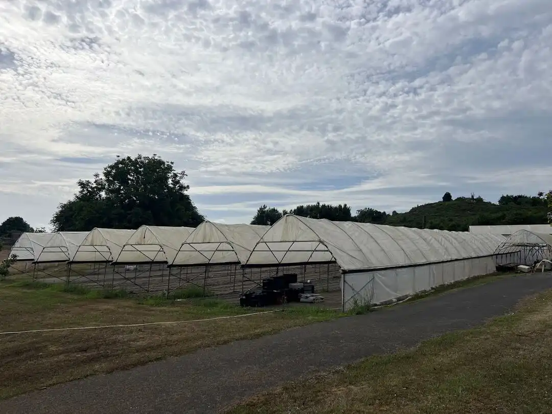 Terrenys i solars en venda a Llanera, imagen 23