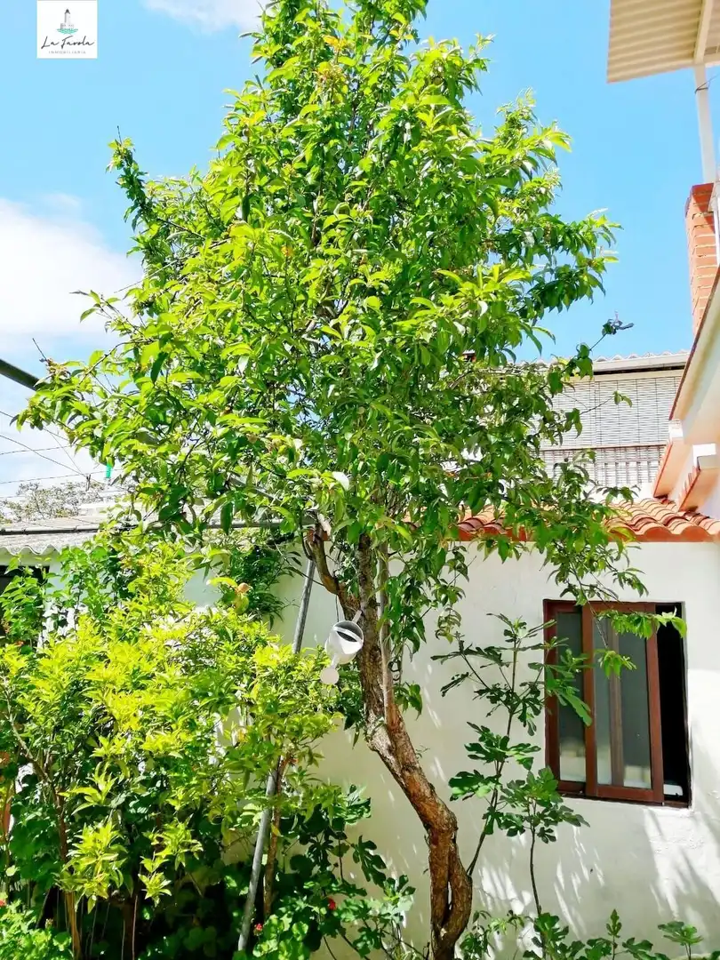 Exterior view of Houses for sale in Archidona  with Private garden, Terrace and Balcony