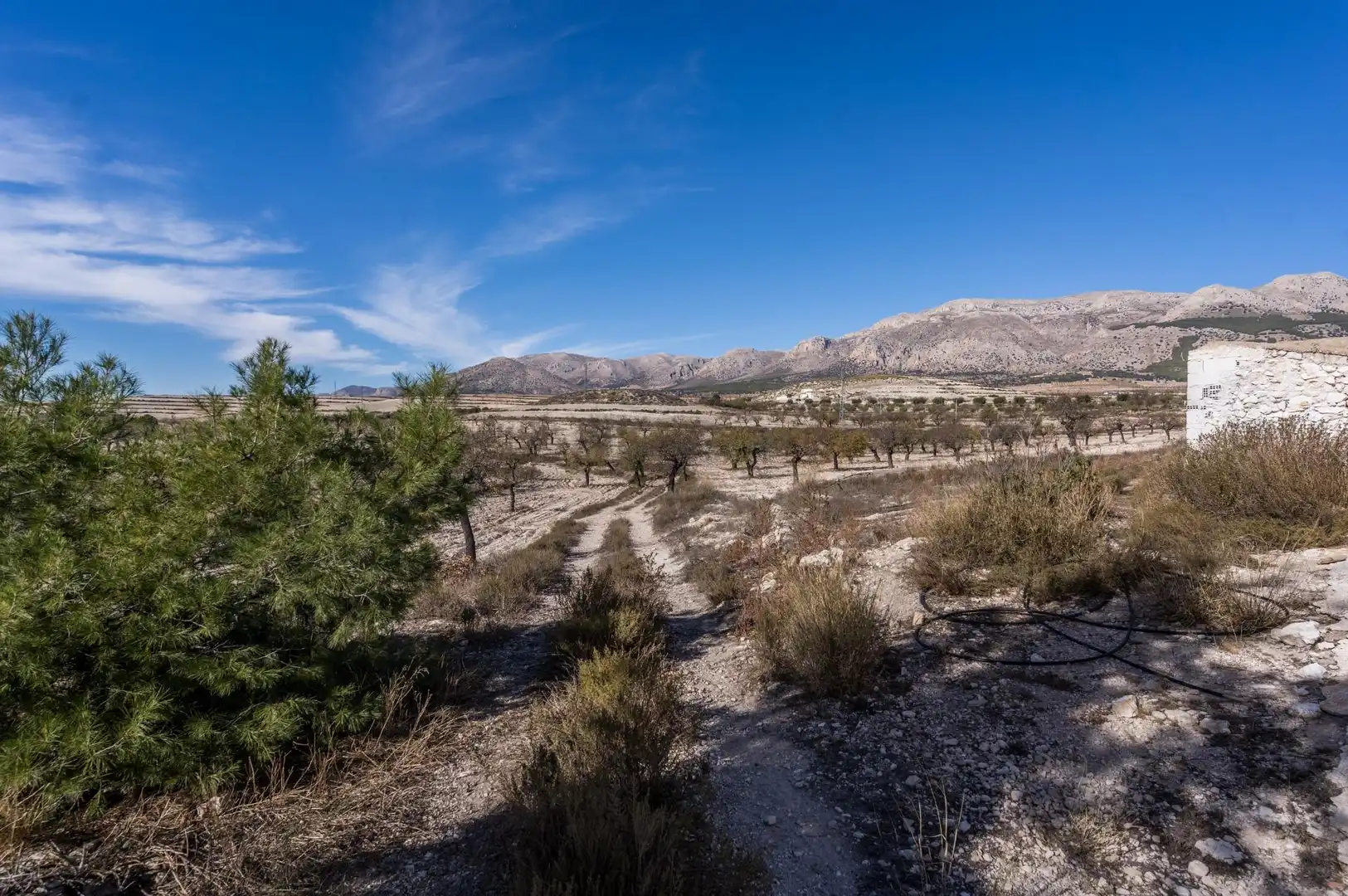 Finca rústica en venta en Vélez-Rubio con Calefacción, Jardín privado y Trastero