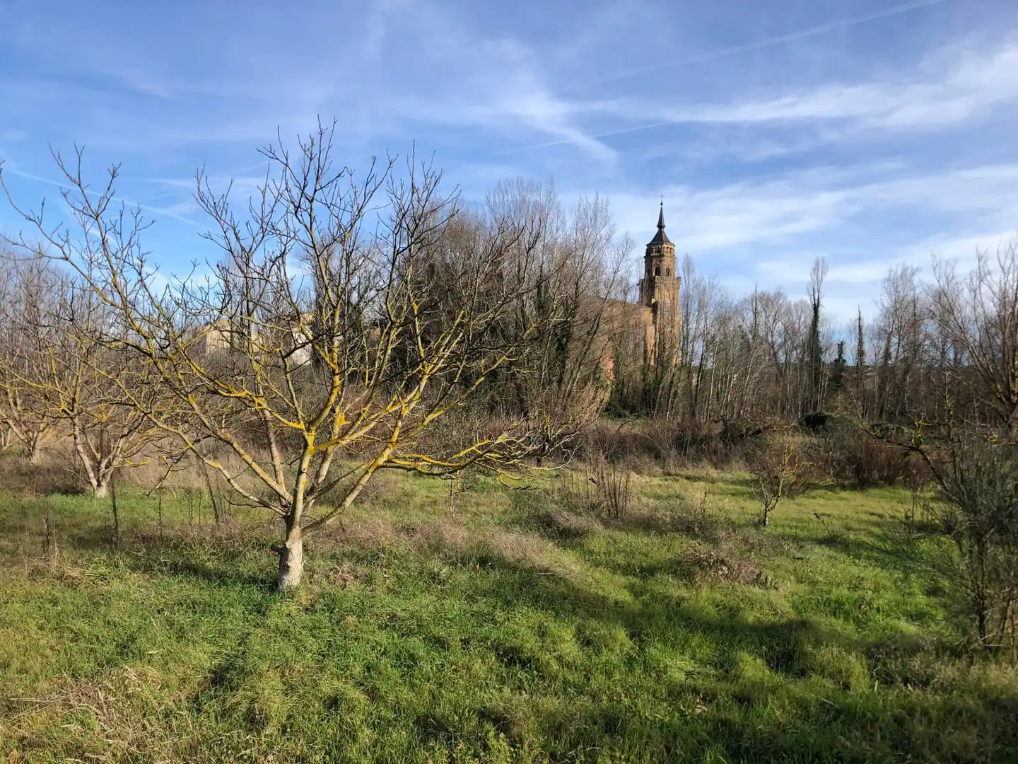 Terreni e lotti in vendita a Murillo de Río Leza