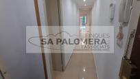 Pis en venda en Blanes amb Moblat i Balcó
