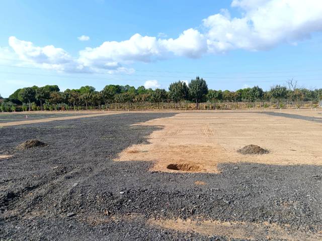 Terreno en Alquiler en Llevant
