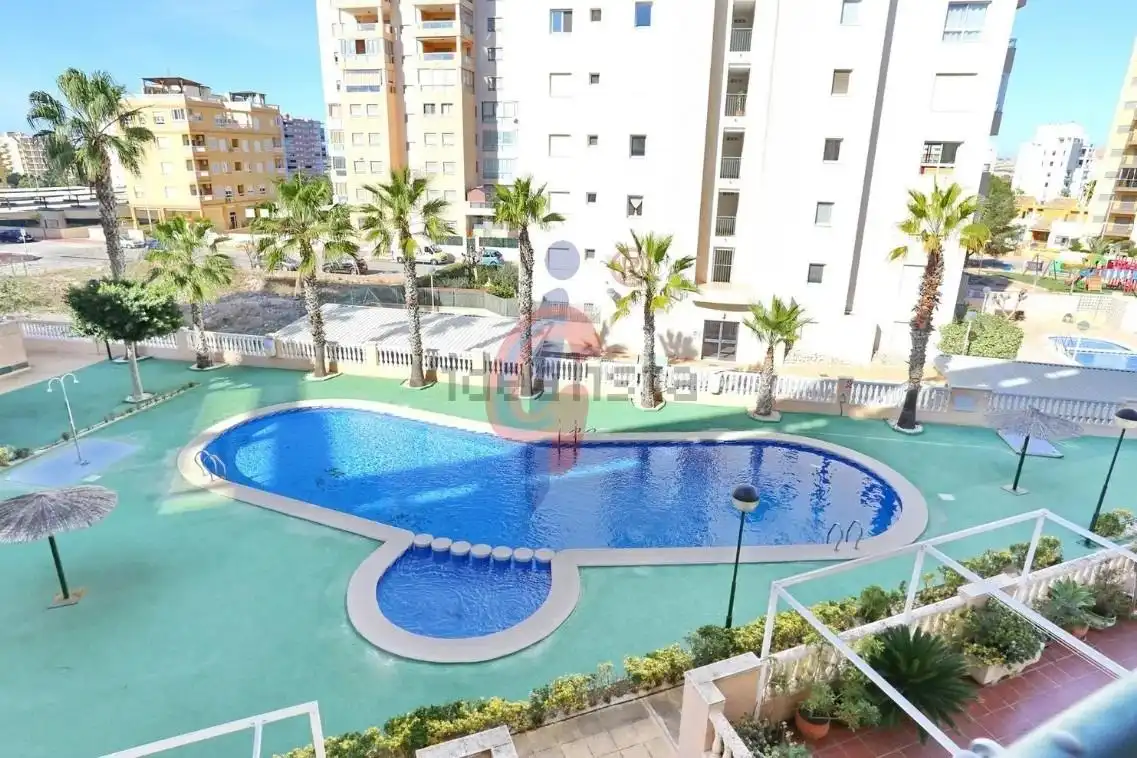 Swimming pool of Attic for sale in Guardamar del Segura  with Community pool