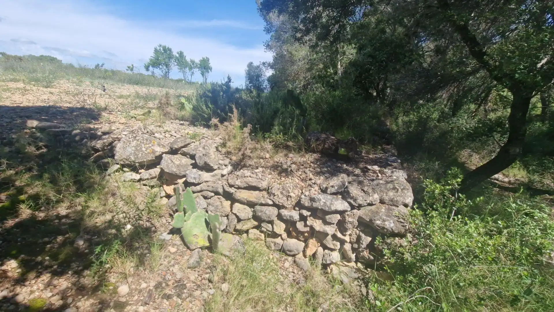 Terreno rustico in vendita a Valls, imagen 2