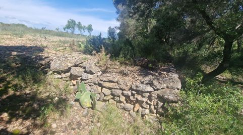 RUSTICA, PIEZA DE TIERRA, imagen 2