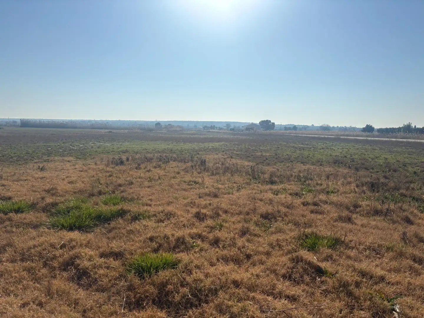 Terrain rustique à vendre à La Foia - Daimés - Asprella, imagen 14