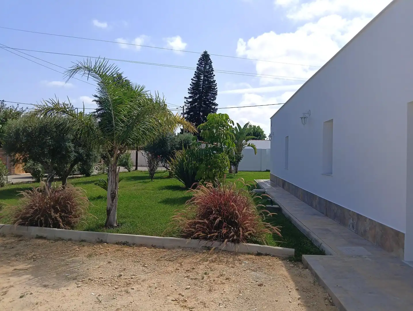 Jardí de Casa o xalet en venda en Conil de la Frontera