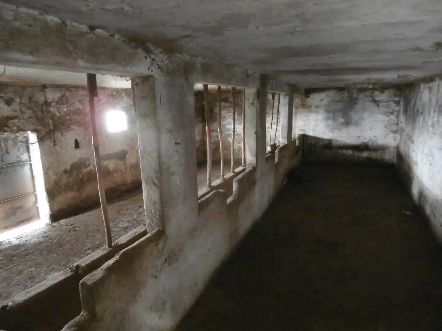 Finca rústica en venta en Camino Lomo el Marco, 41, Moya (Las Palmas)